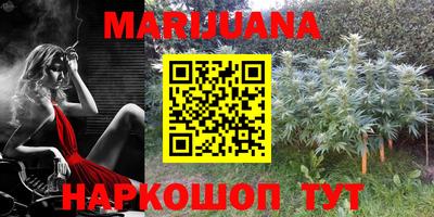 трава Будённовск