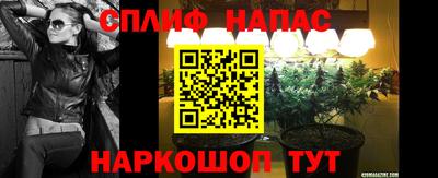 трава Будённовск