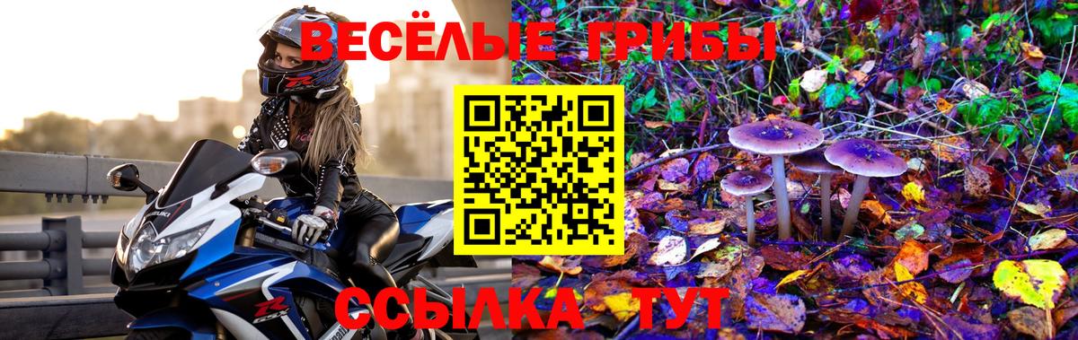 Полевской  Псилоцибиновые грибы мухоморы  Вход с VPN  Псилоцибиновые грибы Cubensis 